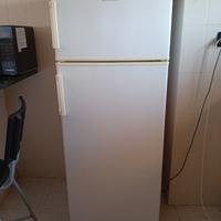 frigo