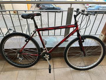 Bici Mountain bike usata