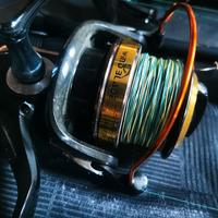 3 canne da pesca al siluro completi di mulinelli 