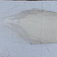 CUPOLINO ORIGINALE KYMCO DOWNTOWN 350I 2018