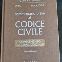 commentario al Codice Civile