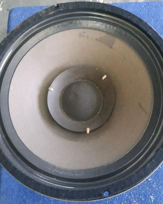 Woofer Goodmans Axiom 201 12" bobina interrotta