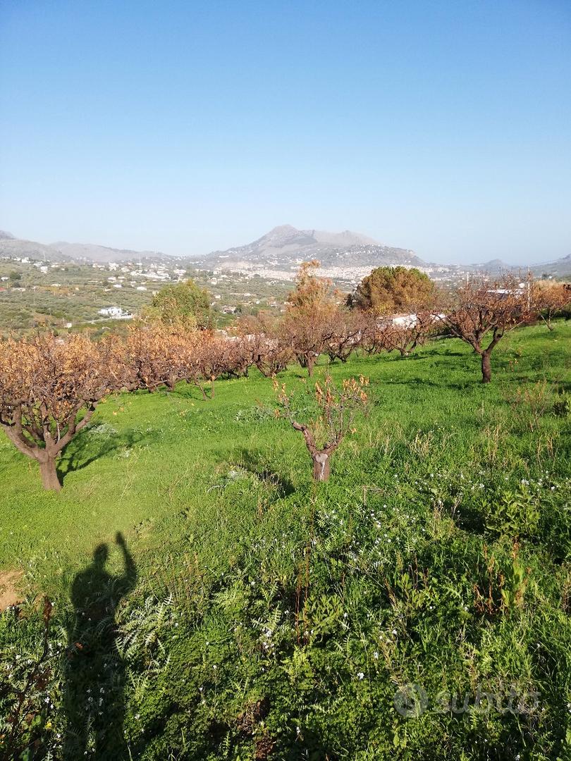 Terreno agricolo 6000 mq - Vista 5