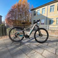 Raymon EBike