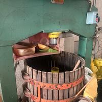 Torchio elettrico per vendemmia