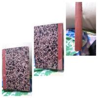 Libro antico anno 1882