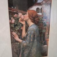 Quadro stampa  "lo spirito della rosa" 