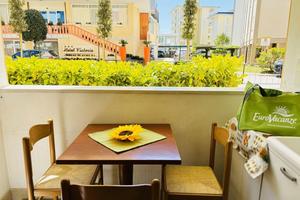 Lido dei Pini - Grazioso bilocale