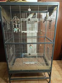 Ampia gabbia per volatili