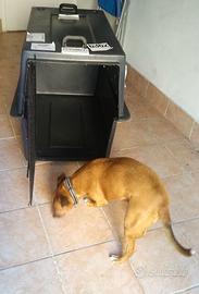 TRASPORTINO CANE KENNEL 500