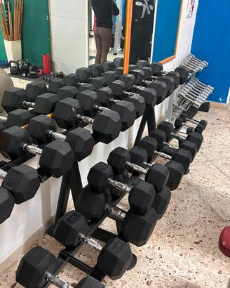 Palestra completa