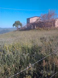 Antico casale panoramico con 4 ettari per Agrituri