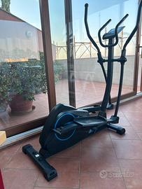 Cycletta elittica