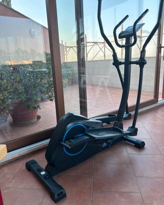 Cycletta elittica