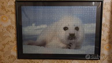 Quadro – Puzzle Foca Ravensburger incorniciato