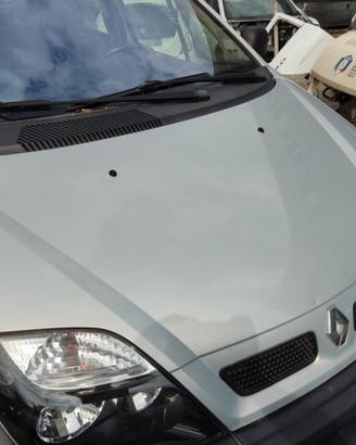 Cofano RENAULT MEGANE SCENIC RX4 del 2001