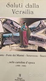 SALUTI DALLA VERSILIA PIETRASANTA FORTE DEI MARMI