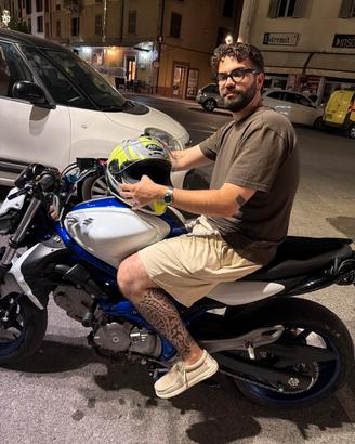 Suzuki Gladius 650