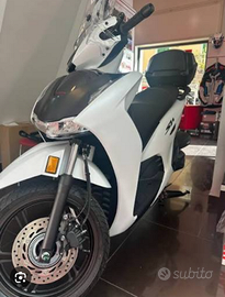 SH 350 SPORT MAGGIO 2026