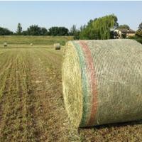 Fieno in balloni e ballette