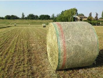 Fieno in balloni e ballette