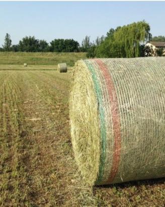 Fieno in balloni e ballette