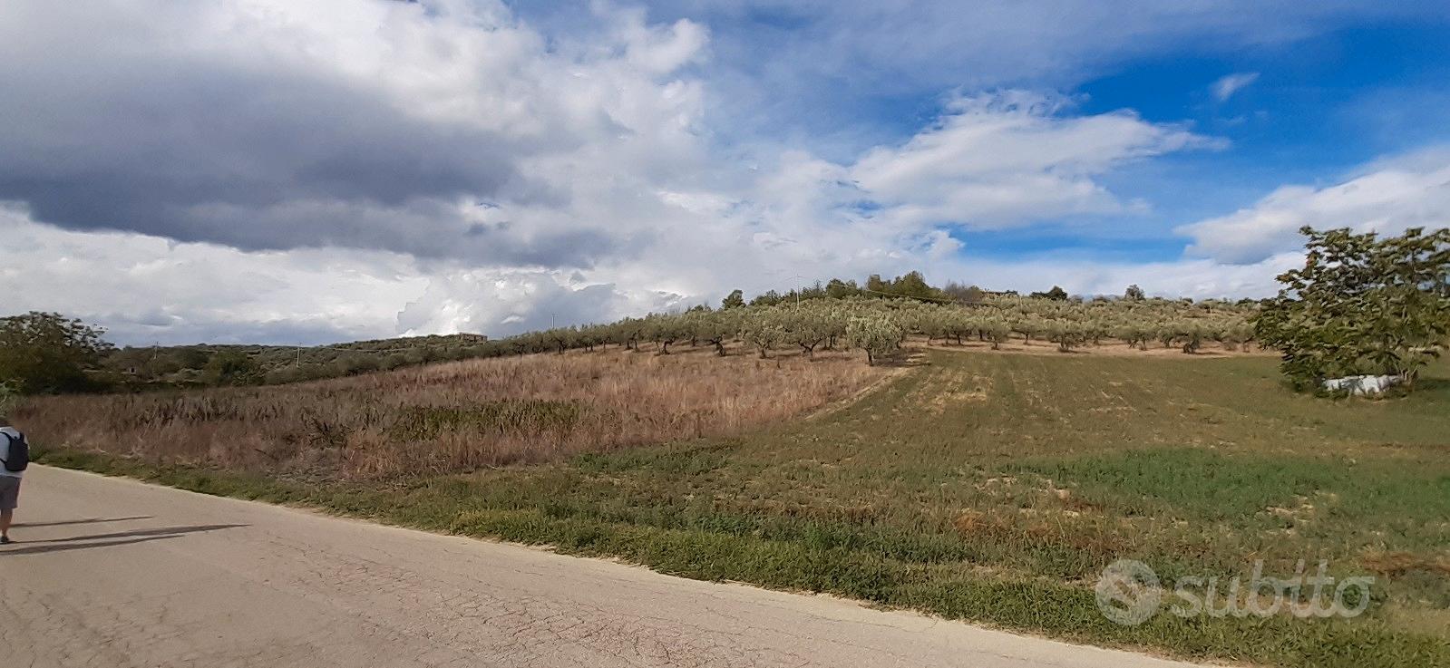 Terreno agricolo con pozzo - Vista 3