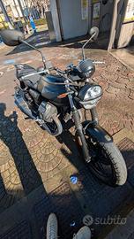 Moto Guzzi V7 850 Stone 2021