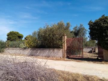 Terreno edificabile