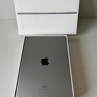 iPad Air 2