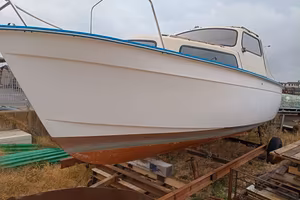 Gozzo albin 25