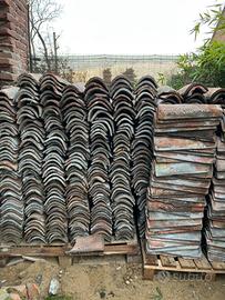 Coppi a € 0,50 cad uno