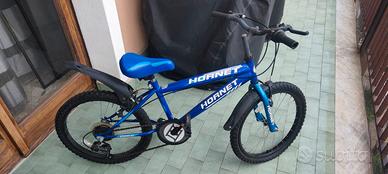 Mountain bike hornet da bambino hornet