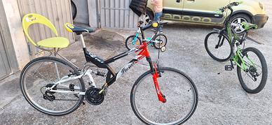 bici ammortizzata 