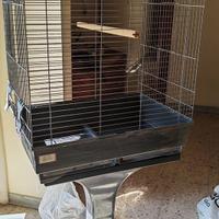 Gabbia per volatili