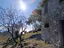 Immagine 26