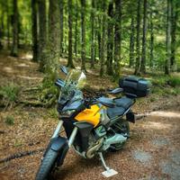Moto Guzzi Stelvio - 2025
