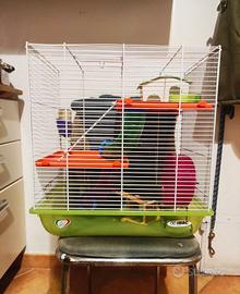 Gabbia per criceti , cavie ...