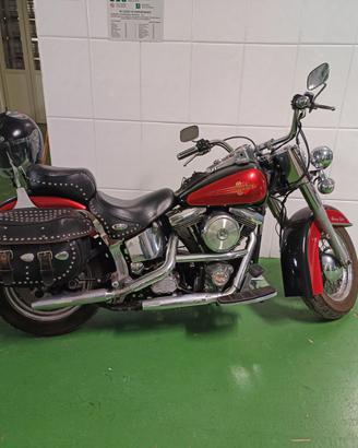 Harley Davidson Hermitage Softail