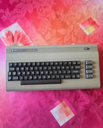 Commodore 64 "biscottone" – solo console – VFG 529