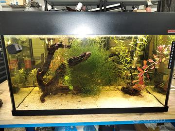 Acquario 160litri