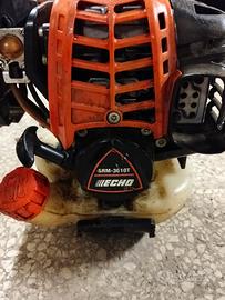 DECESPUGLIATORE ECHO