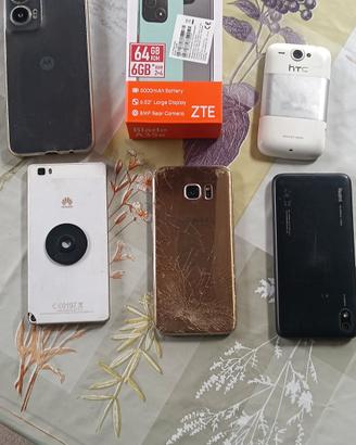 cellulari 