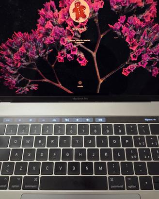 Macbook Pro 2016 256 GB schermo  15"