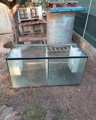 acquario