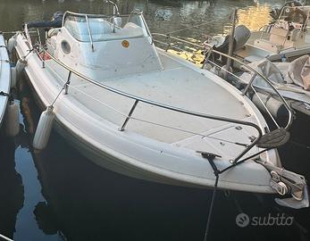 Arkos 607 WA + 115hp Mercury (2019)