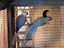 Immagine 1