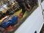 Immagine 5