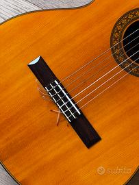 Chitarra  classica Morris 202