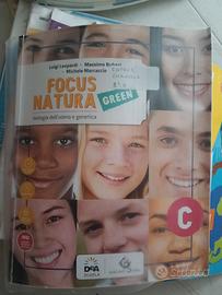 focus natura green